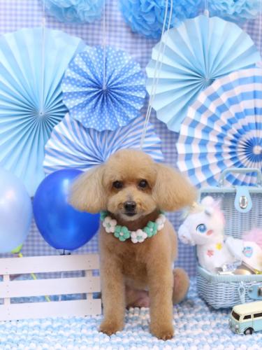 20231104のえるくん